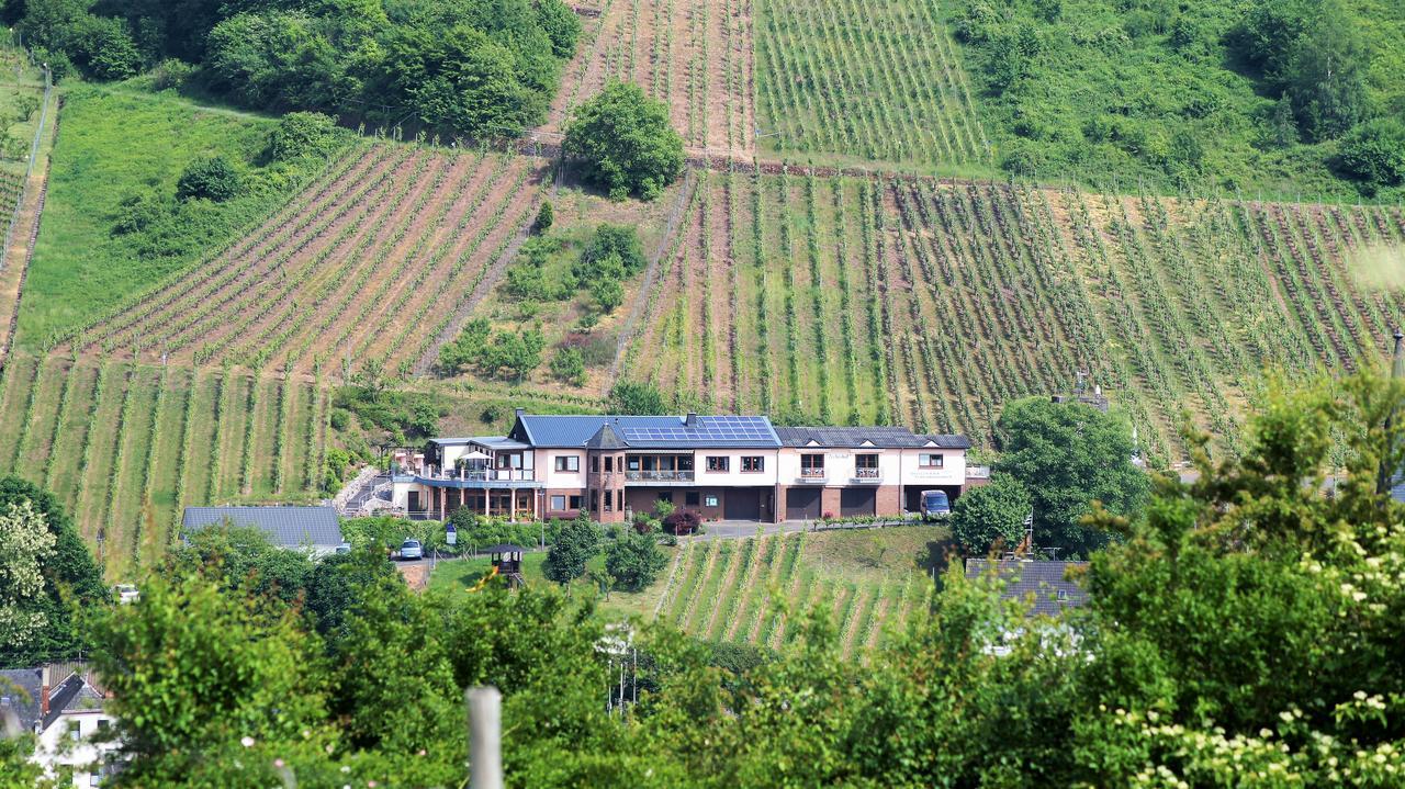 Urlaubsweingut Zecherhof Neef Buitenkant foto